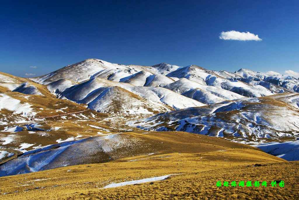 云南昭通大山包黑颈鹤攻略,云南黑颈鹤旅游