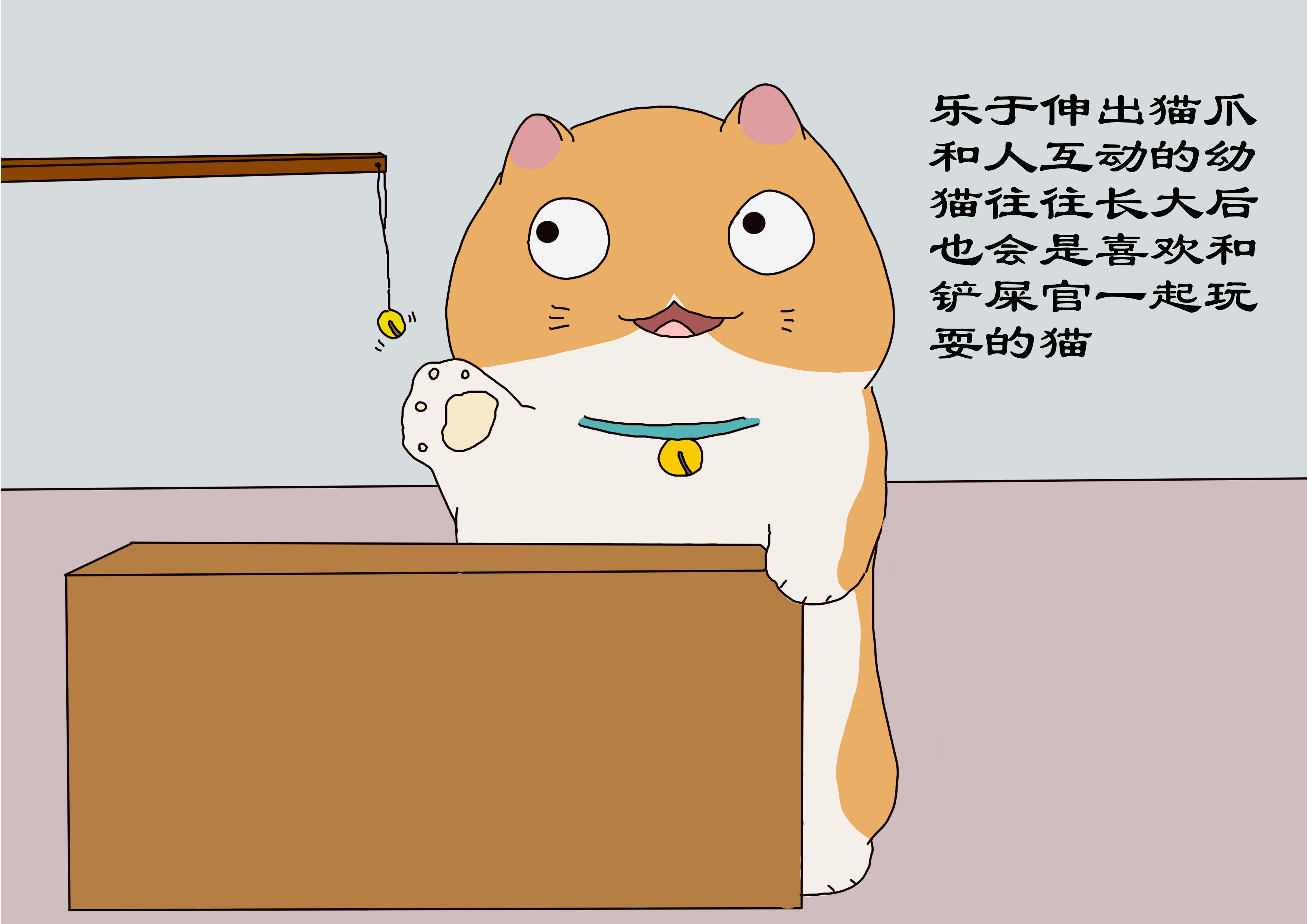 幼猫性格差异的表现,幼猫性格好表现有哪些特点