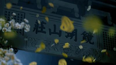 这部剧为何能成为年度佳作,又一部爆款剧连续多日收视第一