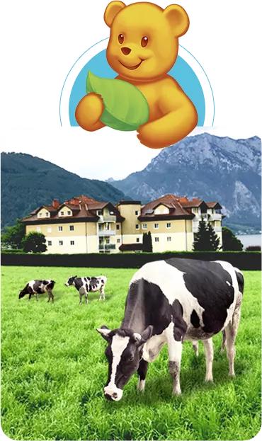 田亮叶一茜带的袋鼠妈妈,叶一茜和妈妈视频