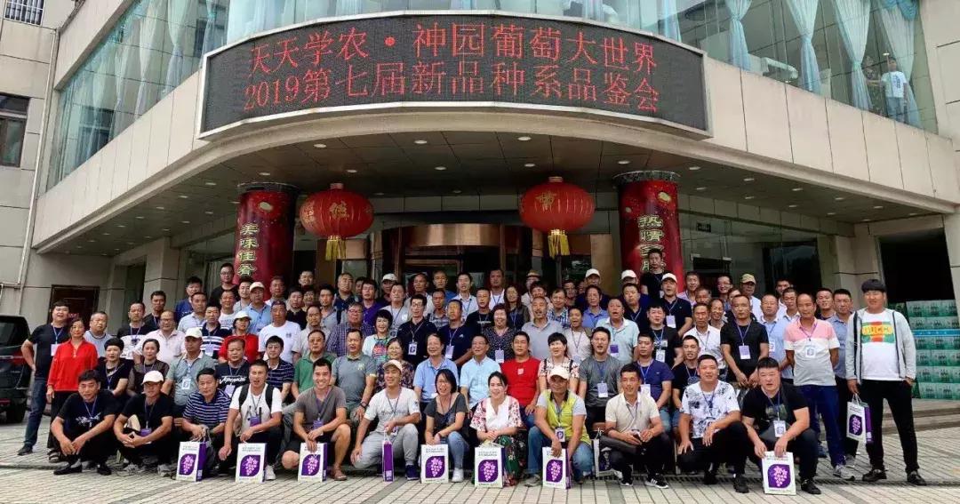 葡萄新品种发展潜力,未来5年最具潜力的葡萄品种