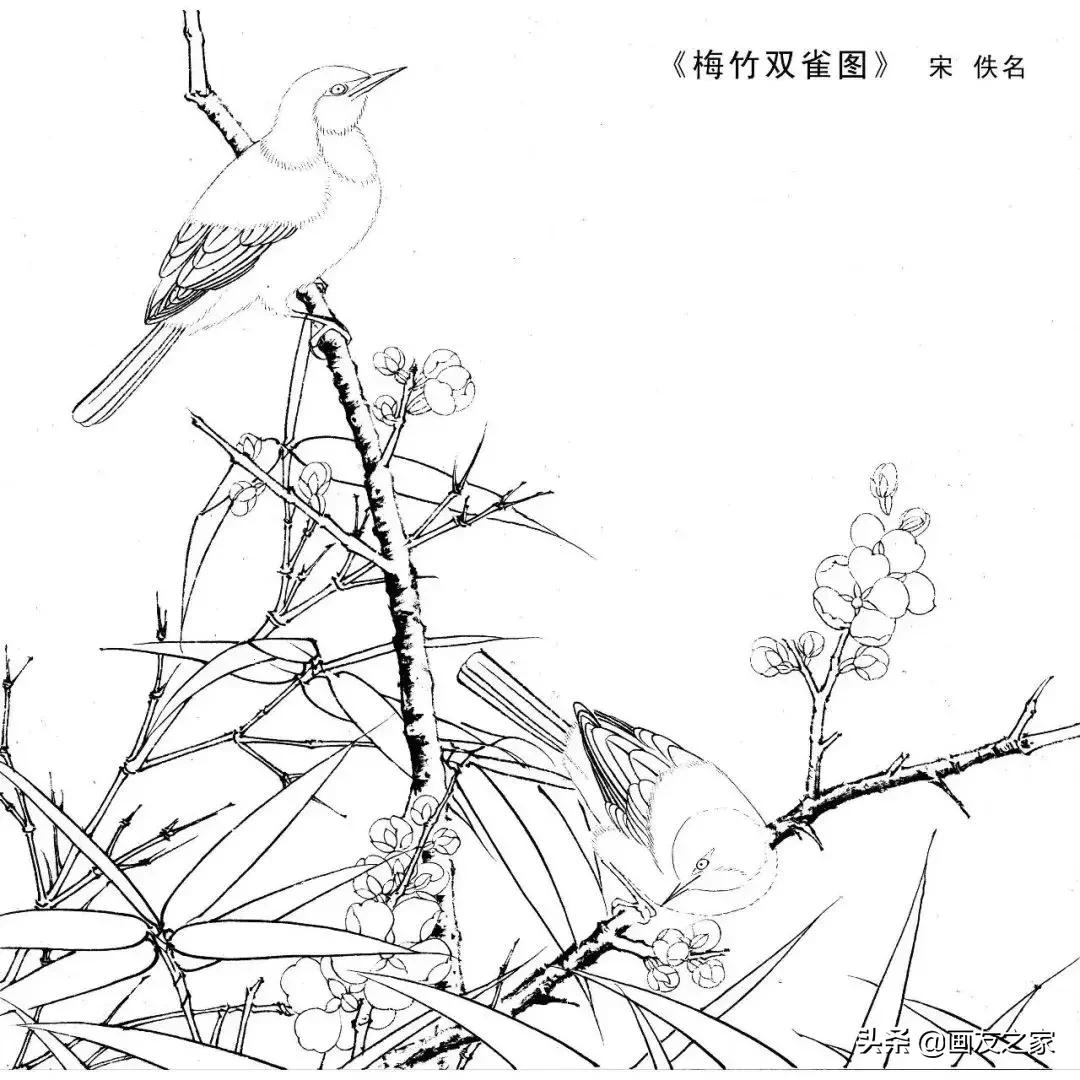 宋花鸟工笔画高清大图临摹过程,宋画工笔画花卉上色教程