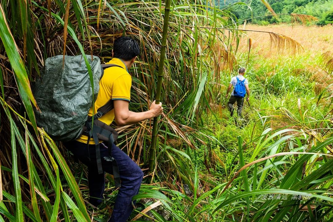 徒步穿越秦岭无人区,徒步穿越喀斯特森林