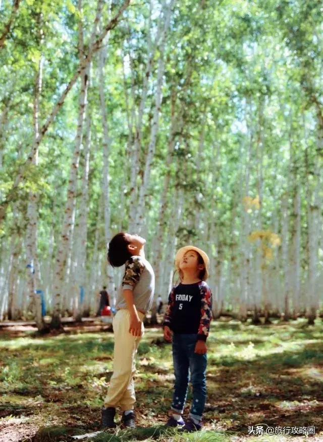 呼伦贝尔亲子游十天怎样玩,呼伦贝尔大草原亲子游