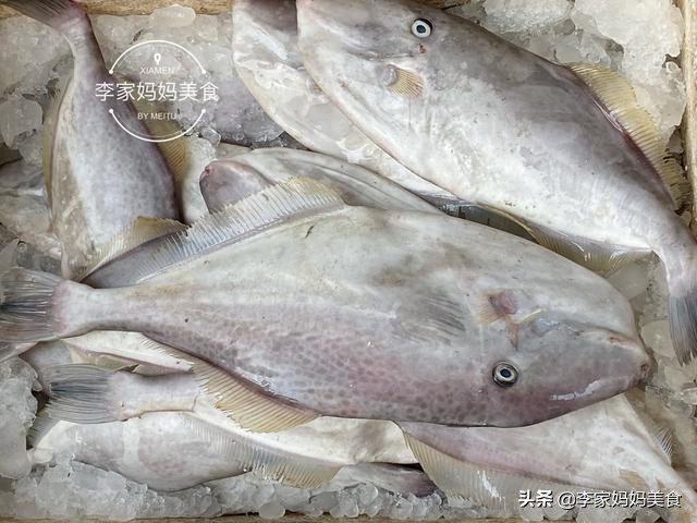 泉州休渔期什么时候结束,泉州休渔期2022时间表