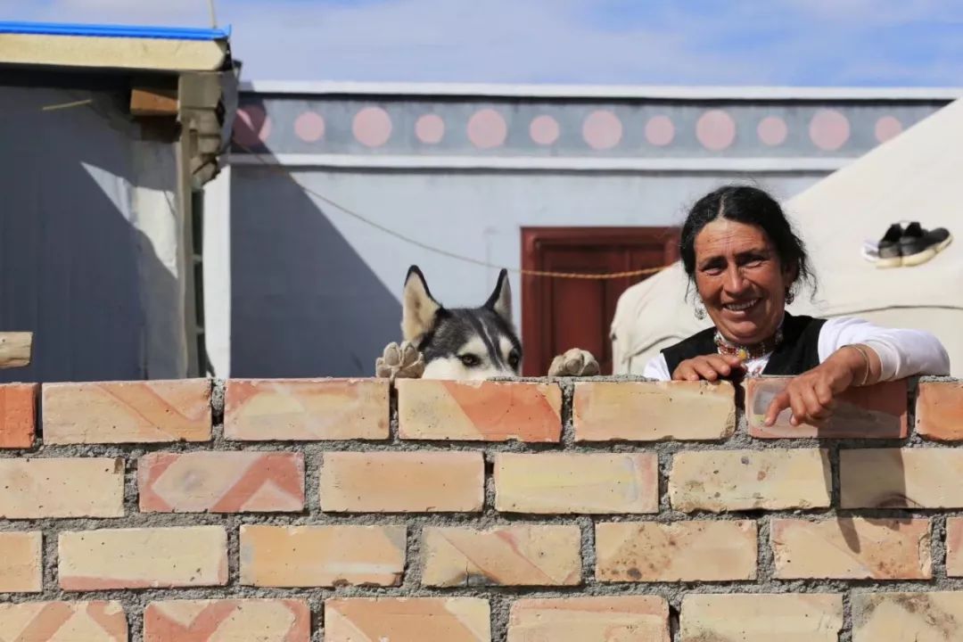 走马春季追花线|春漫*疆新**，牧笛声声中的杏花村