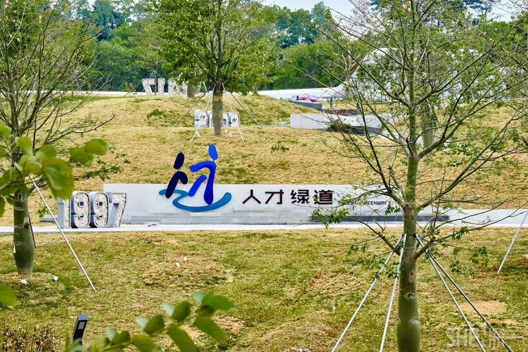 龙华新公园在哪里,深圳龙华区免费的公园