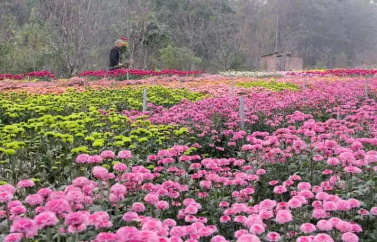 深圳免费公园适合儿童,深圳免费公园哪里最好啊