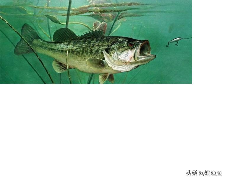 路亚入门初学者指南,路亚纺车轮入门教程