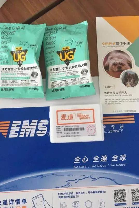 不办狗证狗被抓,不办狗证的狗被抓走会怎样