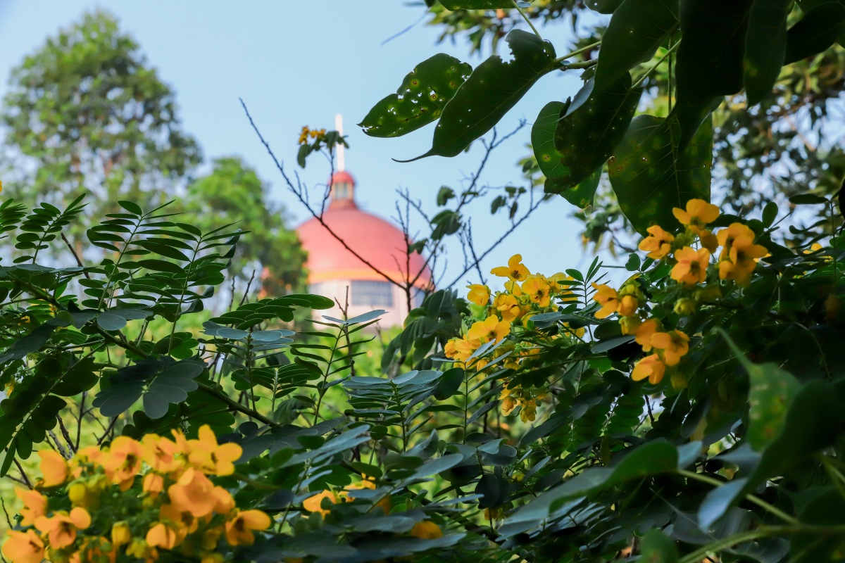 拒绝脱发，来东莞观音山森林养生模式让你享受生活
