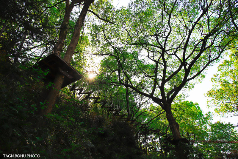 衢州飞越丛林探险乐园,浙江衢州深山