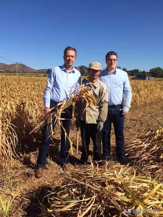 逆流返乡的小镇青年过得还好吗,逆流创业年代