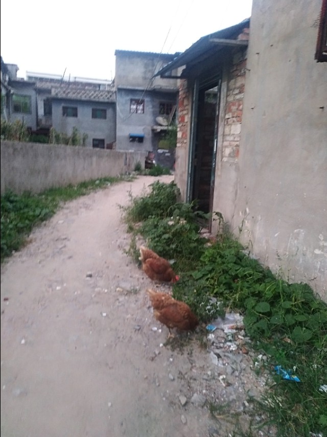 王玉：南阳益博社工的初秋一日行纪