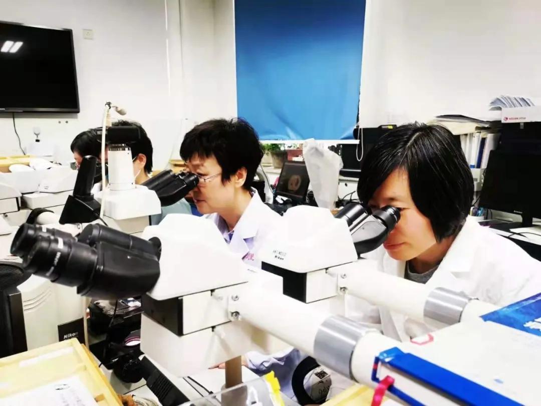 病理科神秘面纱,揭开病理的神秘面纱