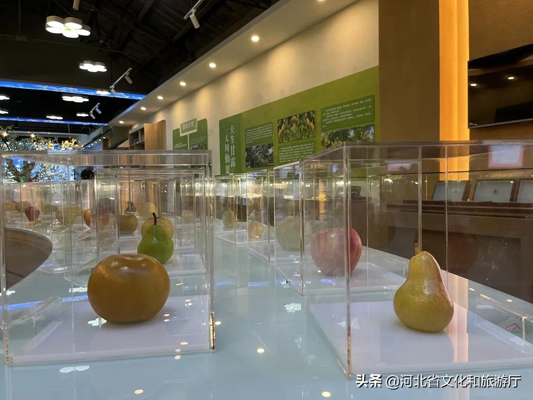 晋州市采摘园一日游攻略,晋州采摘园攻略