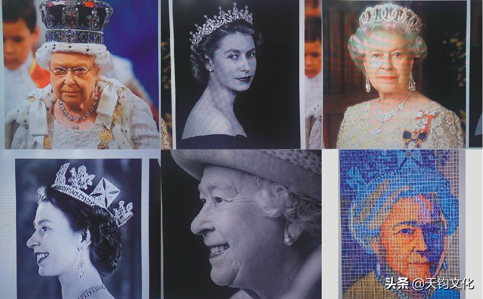 走进校友企业“西工大深圳校友·多多熊”亲子活动圆满举行