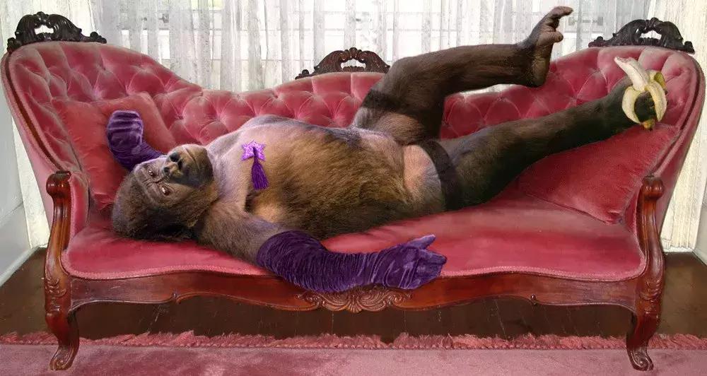 她被非人囚禁6年做*奴性**，每天擦口红喷香水……人性有罪恶极限吗？