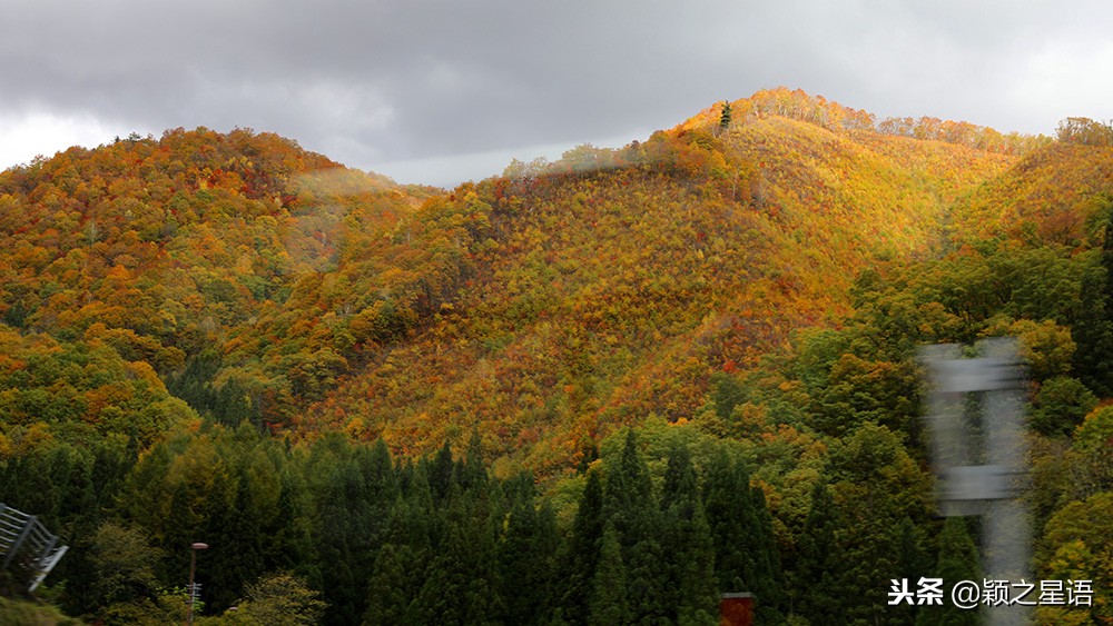 几千块的日本电饭煲,国产锅日本锅