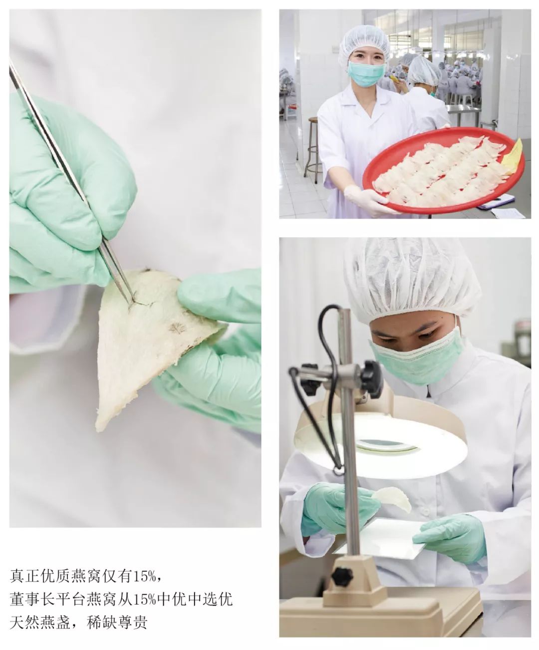 优德名品汇酒怎么样,优德名品汇甄选