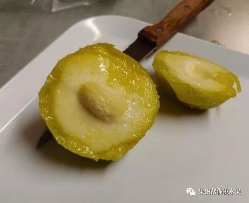 中国哪些水果在美国买不到？美国又有哪些水果中国没有？