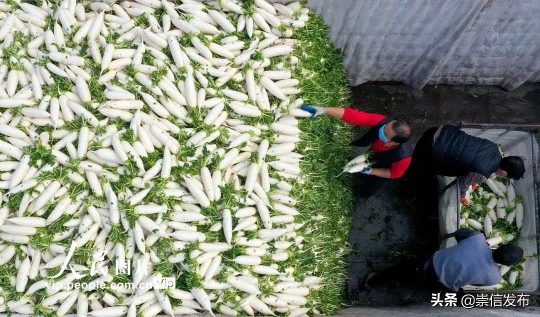 战疫泪目瞬间,战疫中的40个瞬间