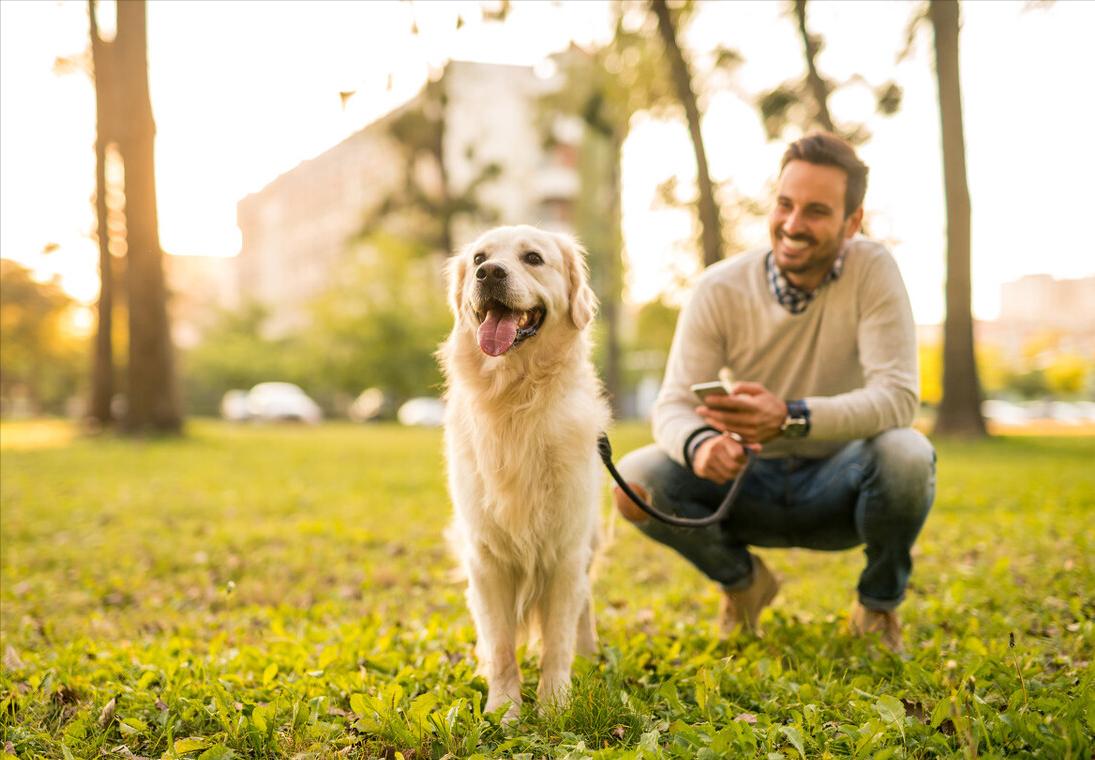 挑选好狗的6条标准,好狗的十大标准