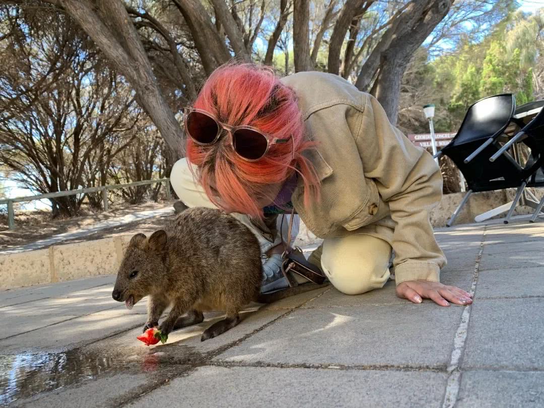 西澳大利亚珀斯有什么好玩的,西澳珀斯必去景点
