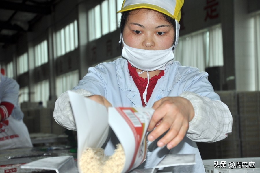 佛手花陈丽华：把微笑开成花蕾