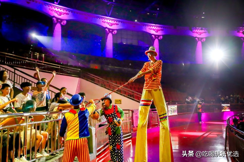 厦门灵玲动物王国大熊猫,厦门马戏团灵玲动物王国观光游览