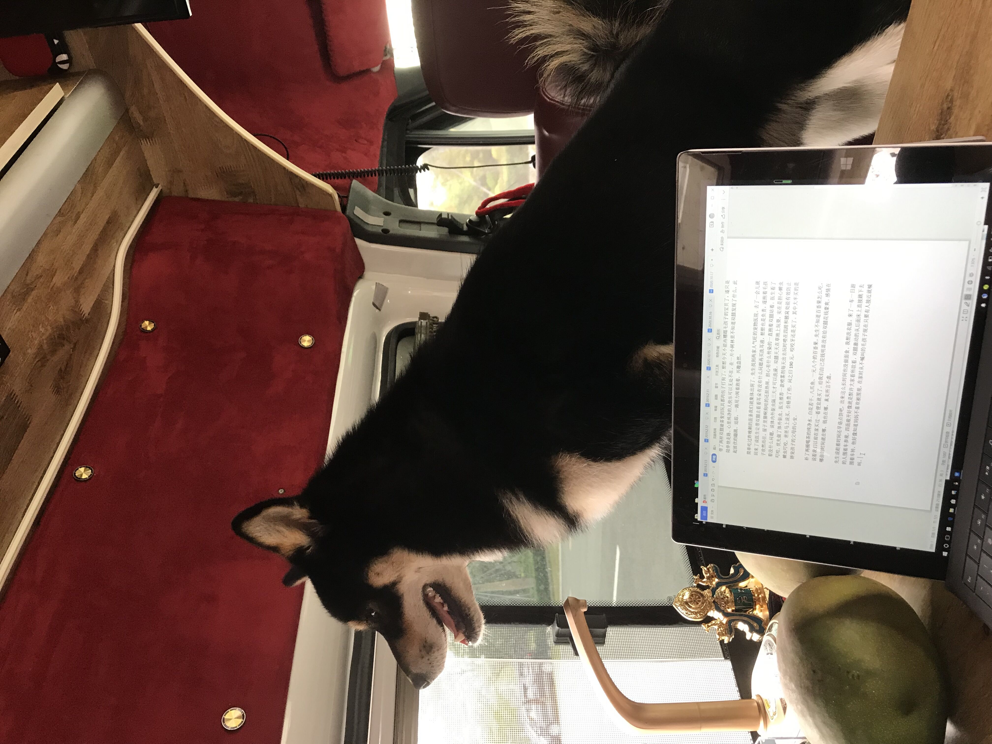 五一自驾野游珠海,珠海自驾游东北路线攻略