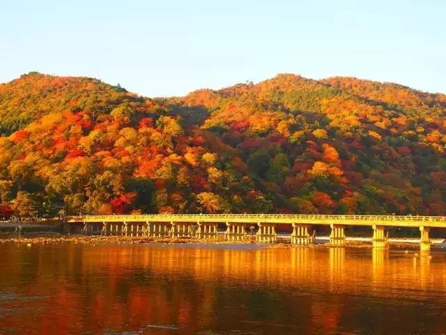 停车坐爱枫林晚风景,停车坐爱枫林晚季节