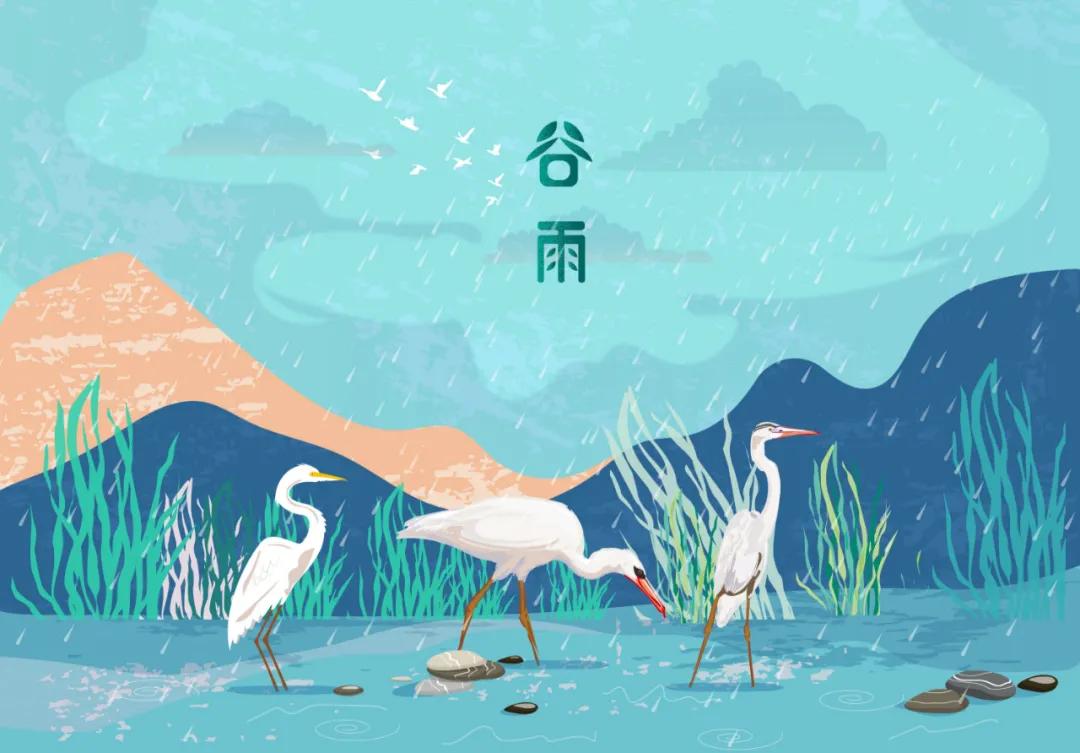 谷雨养肝祛湿正当时,春季养肝也要养胃饮食宜健脾养阳