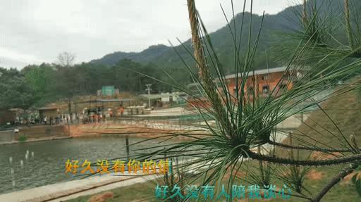 抖音怎么制作卡拉ok跳动歌词,卡拉OK歌词做法