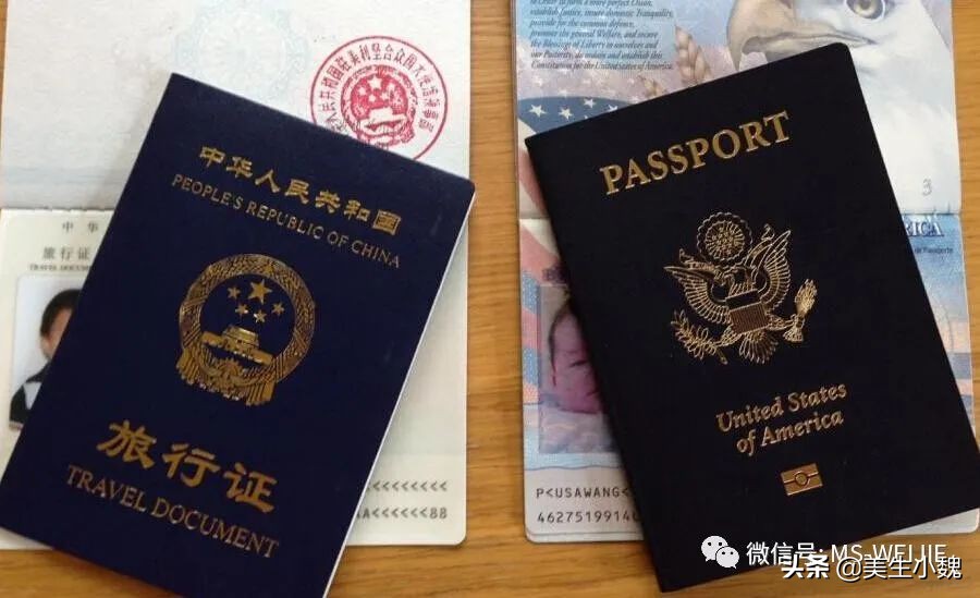 美宝回国坐飞机,美宝坐飞机