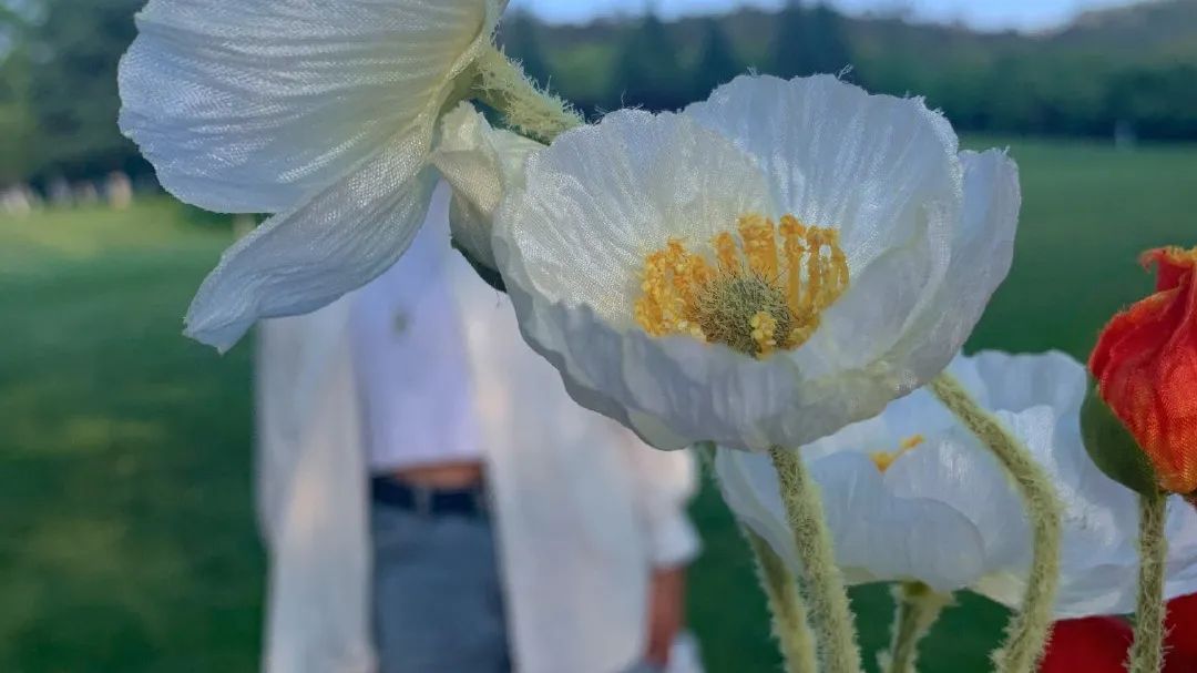 玉溪师范学院凤凰路134号乐队,玉溪师范学院的故事