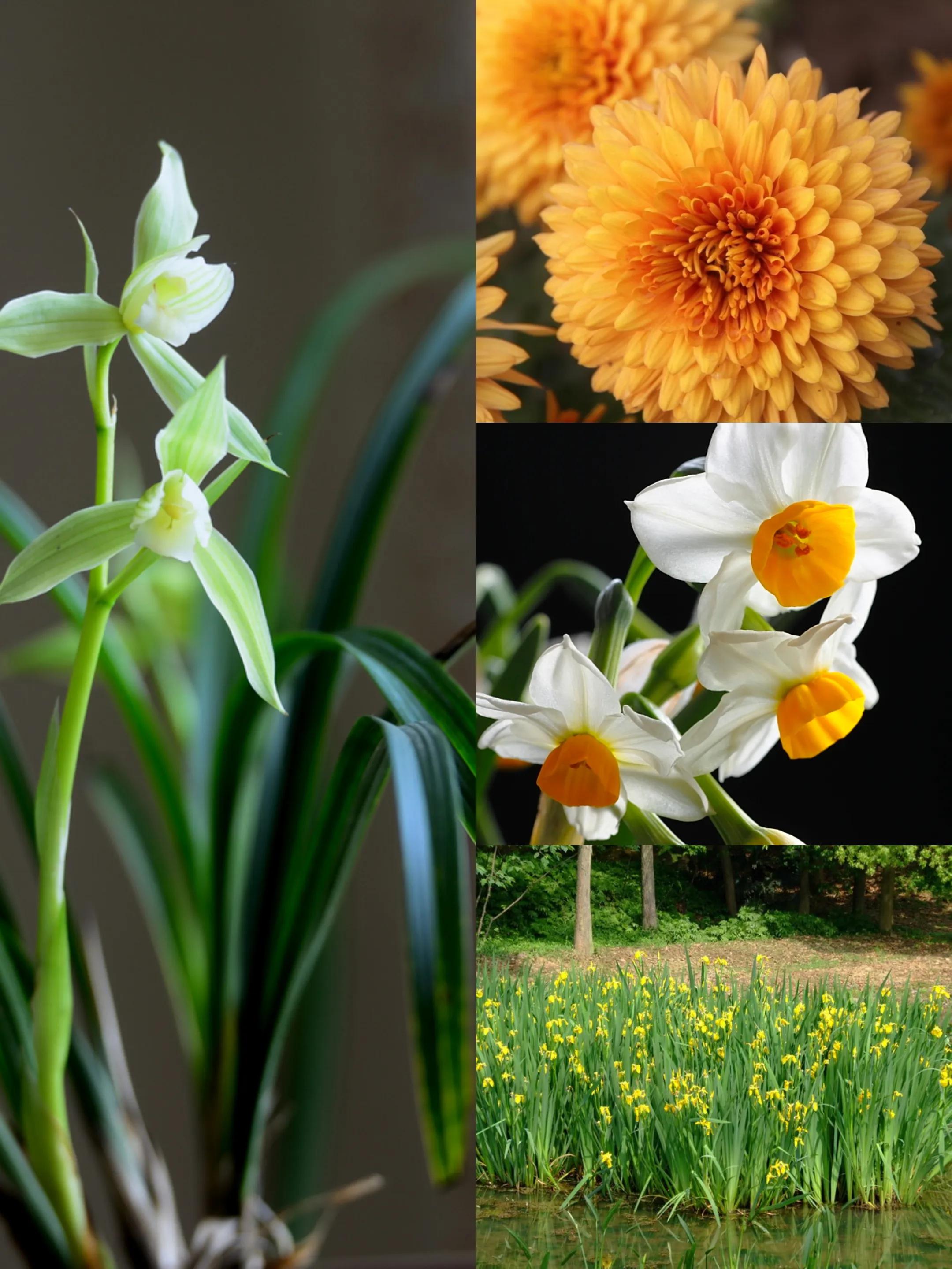 古人有哪些cp,中国传统文化cp