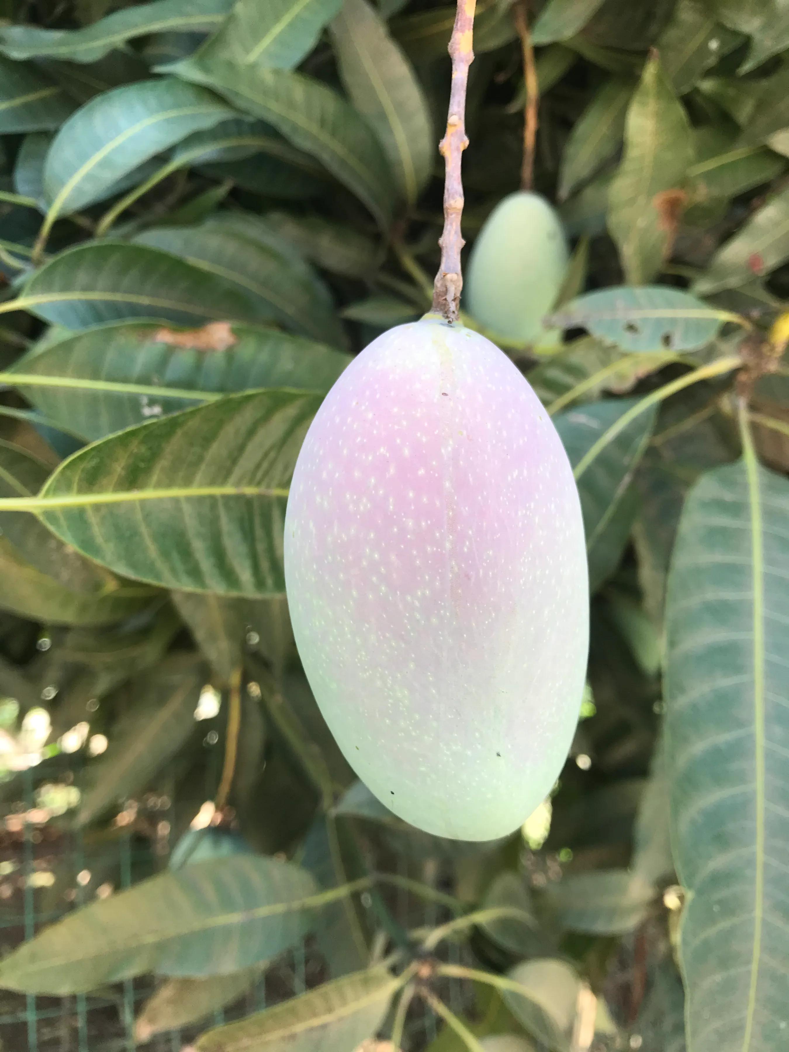 当陷入两难的境地该如何抉择,当陷入两难抉择的时候该怎么办