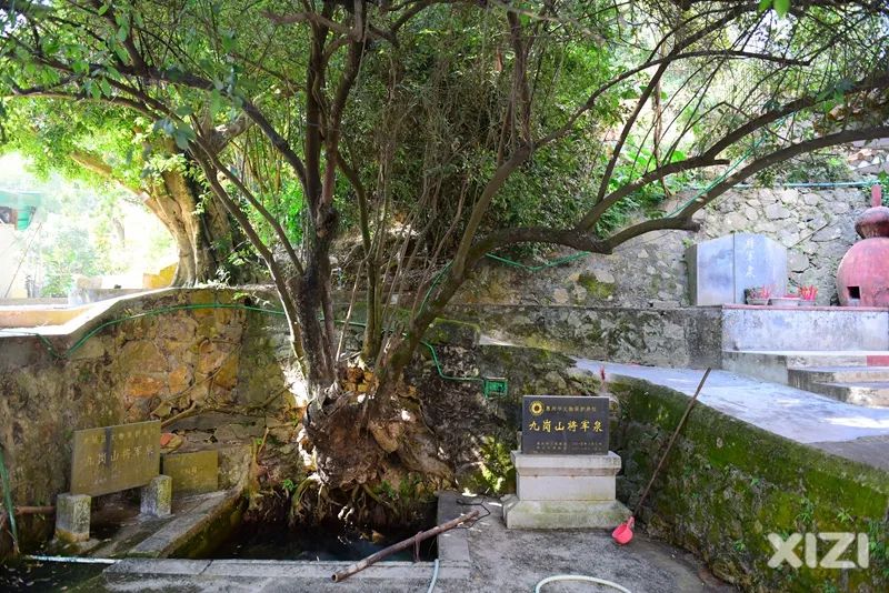 美丽鹅城,最美鹅城