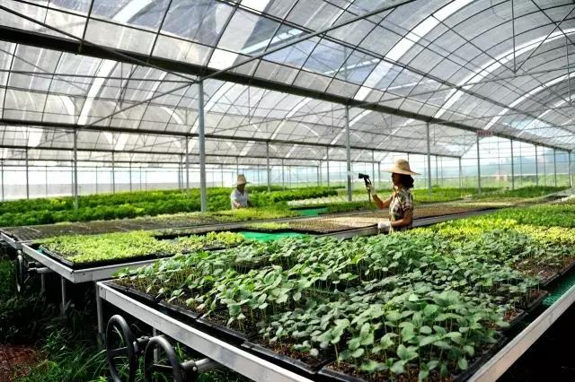 鹰潭好还是贵溪好,贵溪是一个怎样的地方