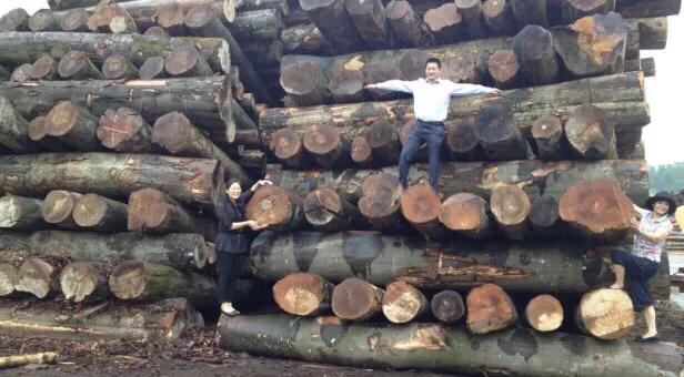 瑞士地板品牌卢森价格,瑞士卢森地板推荐