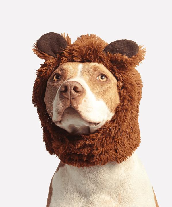 ps神仙笔刷,ps水彩插件