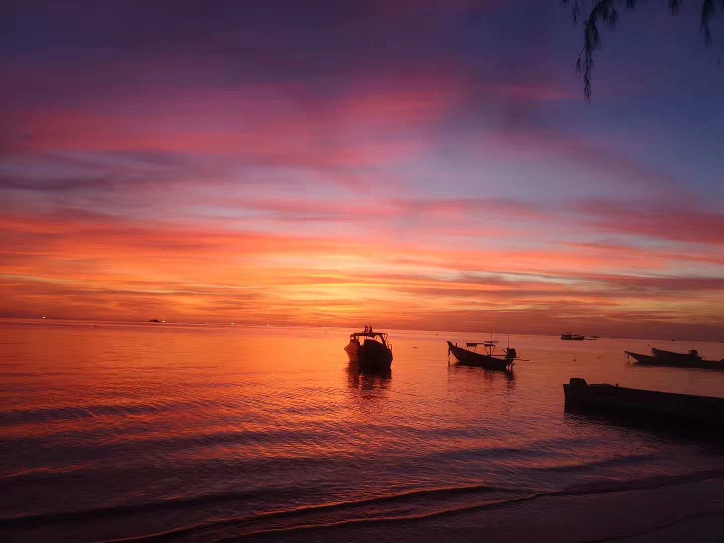 乔布斯的癌症治疗方法,乔布斯爱吃水果