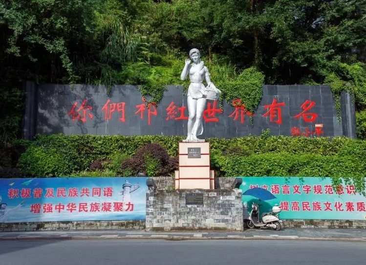 红茶的茶文化知识有哪些呢,哪些茶是红茶推荐喝法和功效