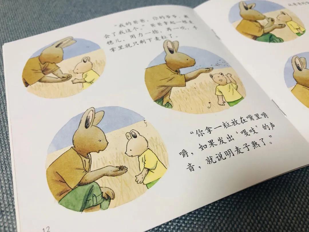 宝宝的教育启蒙,宝宝启蒙教育越早越好