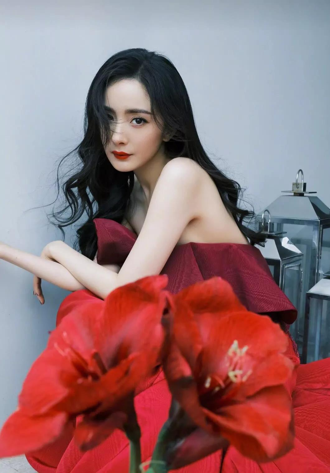 手机壁纸超清全面屏可爱猫,手机壁纸超清全屏2023最好看