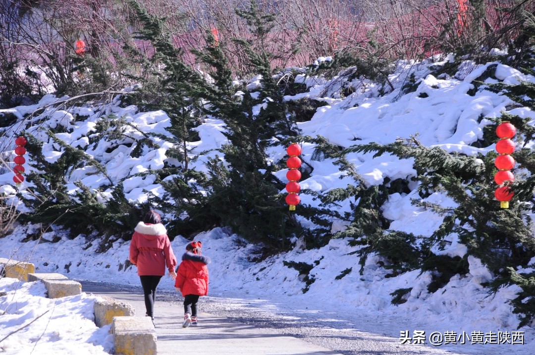 翠华山地质公园滑雪,翠华山雪场门票团购