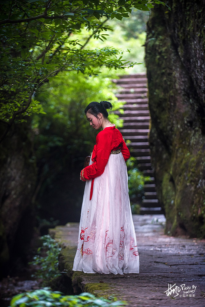 每克卖一万，这几株岩壁上的大红袍茶树，堪称武夷山的镇山之宝