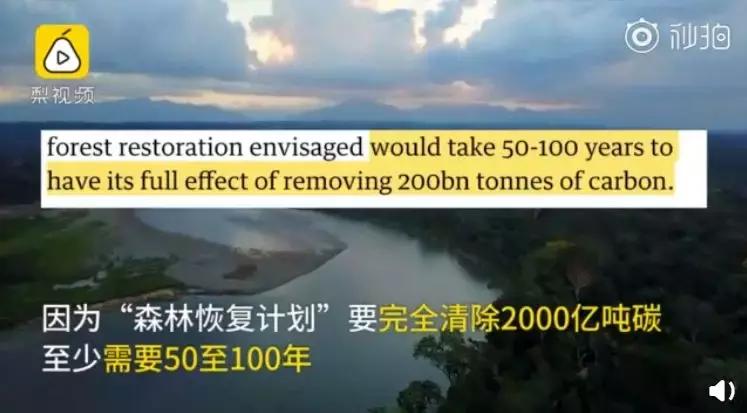 1116只鲨鱼被塑料缠住，不及余文乐发布一则视频引发的“痛感”