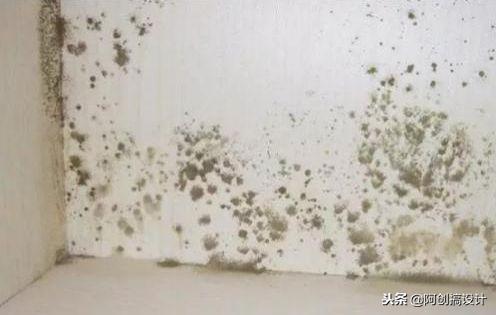 家里墙面总是发霉掉皮,家里墙面发霉掉皮原因